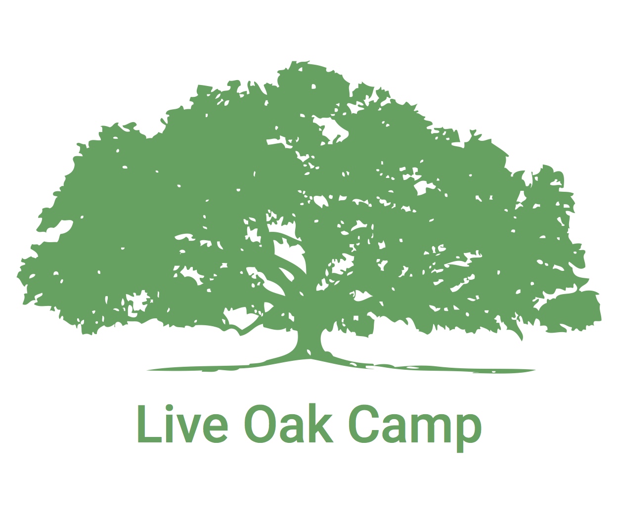 Live Oak Camp